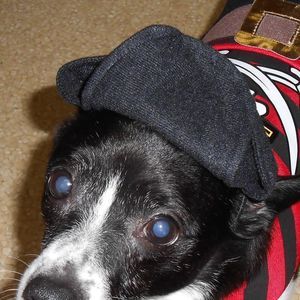 Meet your Posher, Loretta